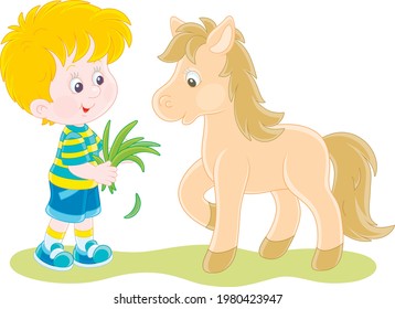 Happy little boy feeding a cute small pony with fresh grass, vector cartoon illustration isolated on a white background