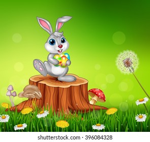 Happy little bunny holding easter eggs on tree stump in summer season background
