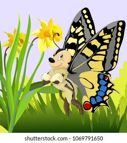 Happy little butterfly