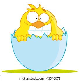 Happy little chick