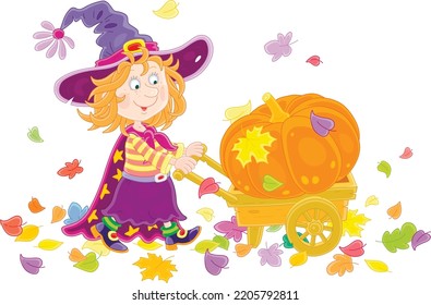 Happy little Halloween witch carrying a large orange pumpkin in her garden wooden wheelbarrow through colorful autumn leaves, vector cartoon illustration isolated on white