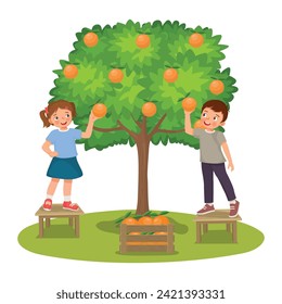 Happy little kids picking oranges fruits from the tree in the garden