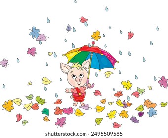 Happy little piglet with an umbrella walking among colorful fallen leaves on a rainy autumn day, vector cartoon illustration isolated on a white background