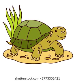 happy little turtle exploring sandy beach area with green vegetation