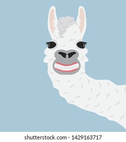 Happy llama smile Vector Illustration