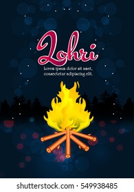  Happy Lohri