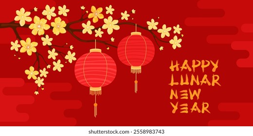 Happy Lunar New Year. Red round silk or paper Asian lanterns hang on a branch with yellow apricot flowers, red background. Chinese lanterns. Spring sakura, cherry or apple flowers.