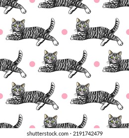 
Happy lying brindle kitten and little pink ball. Hand draw seamless vector pattern.