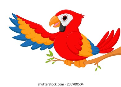Happy macaw bird cartoon 