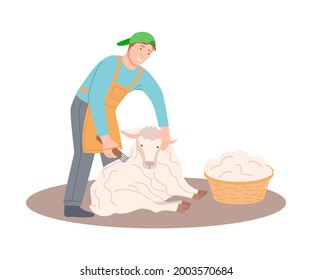 Happy Male Farmer Shearing Sheep and Gathering Wool in Wicker Basket Vector Illustration