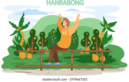 Happy male traveler in Jeju island near mandarine orange garden Hanrabong. Traveling to Asia. Plantation of famous citrus fruit exotic plant of green island in south korea, touristic entertainment