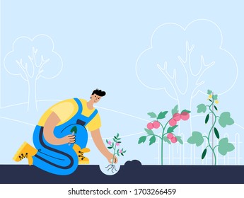 Happy man in overalls plants plant, tomato, cucumber. Flat vector illustration on blue background. Male cartoon action character. Gardening and healthy eco organic food concept for poster.