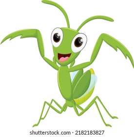Happy Mantis cartoon isolated on white