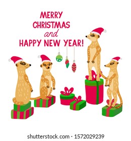 
A happy meerkat family wearing santa hats stands on gift boxes. Vector illustration in red and green colors for greeting cards, posters and xmas souvenir  products. Isolated on white.