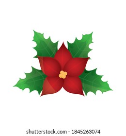 happy merry christmas, flower poinsettia leaf decoration season vector illustration detailed