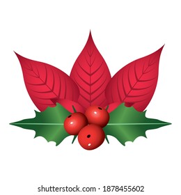 happy merry christmas red flower and leafs with berries decoration vector illustration design