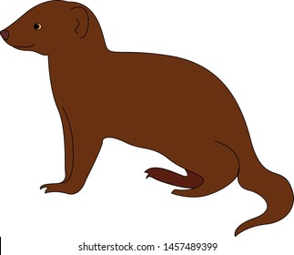 Happy mongoose, illustration, vector on white background.