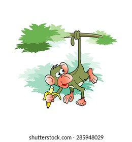 happy monkey eating banana on tree