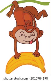 happy monkey grabbed a banana and hangs on a vine