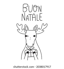Happy moose holding Christmas gift. Buon natale, it's means Merry Christmas in Italian. Outline vector illustration on white background.