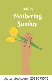 Happy mothering sunday card with hand holding yellow tulips on green background.