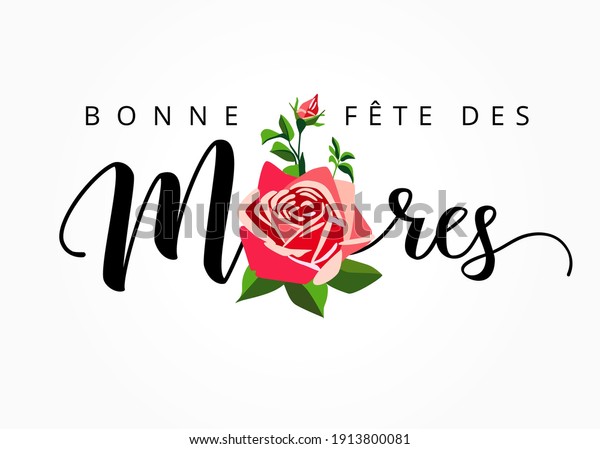 Happy Mothers day - Bonne\
fete des Meres elegant hand drawn french lettering banner.\
Calligraphy vector text and rose on white background for Mother\'s\
Day