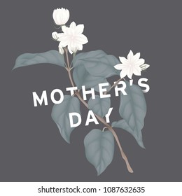 Happy mother's day greeting card design, minimalist white jasmine flowers with leaves on dark grey background Happy mother's day greeting card design, minimalist white jasmine flowers with leaves on dark grey background