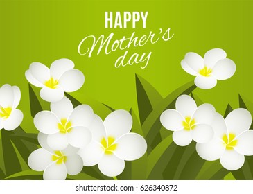 Happy mother's day layout design with fresh white flowers on a green background.Vector illustration.