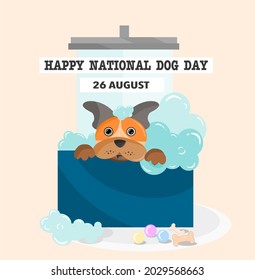 happy national dog day 26th august. French bulldog groom cute swimming and shower on bath greeting card vector illustration.