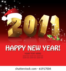 Happy new year 2011