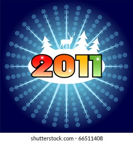 happy new year 2011