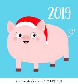 Happy New Year 2019. Pig wearing red Santa hat. Chinise symbol. Cute cartoon funny character. Flat design. Blue background. Isolated. Vector illustration