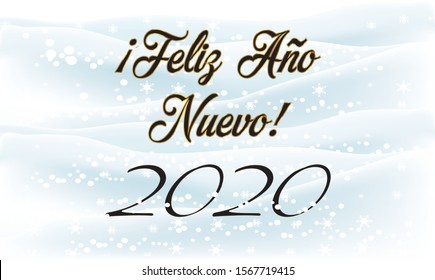 Happy New Year 2020 in Spanish Greeting Card. vector illustration 