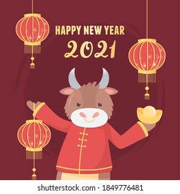 happy new year 2021 chinese, cute ox with lanterns and gold decoration card vector illustration