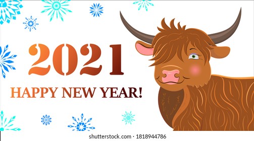 Happy new year 2021. Cute cartoon style Scottish longhaired bull. Vector template for poster, postcard.