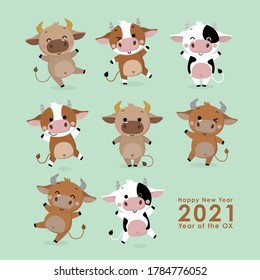 Happy new year 2021 greeting card. The year of the ox. Cute cow and bull cartoon character. -Vector