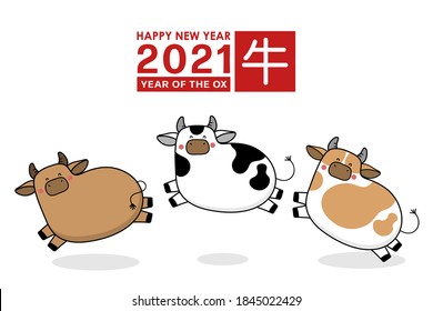 Happy new year 2021 greeting card. The year of the ox. Cute cow and bull cartoon character. Translate: Ox. -Vector