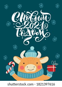 Happy new year 2021, inscription in Russian. Bull in a hat with a gift. Great lettering for greeting cards, stickers, banners, prints. Xmas card. 