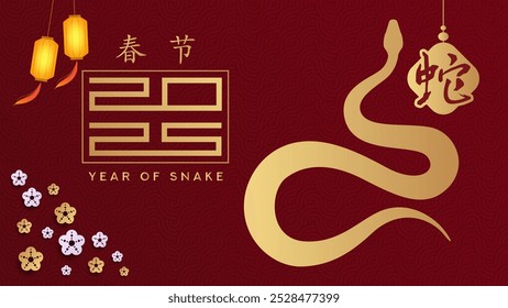 Happy new year 2025, year of the snake, chinese calendar. calendar 2025. text 2025. 2025 minimalist. Happy New Year. design template celebration. Translation (year of the snake)
