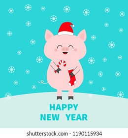 Happy New Year. Christmas. Pig holding candy cane, sock. Red Santa Claus hat. Cute funny cartoon character on snowdrift. Flat design. Blue winter background with snow flake. Vector illustration