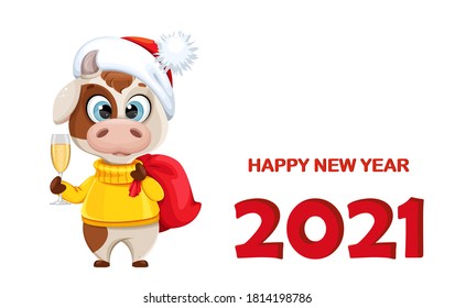 Happy New Year greeting card with funny bull. Cute bull cartoon character in sweater, the symbol of Chinese New Year 2021. Vector illustration