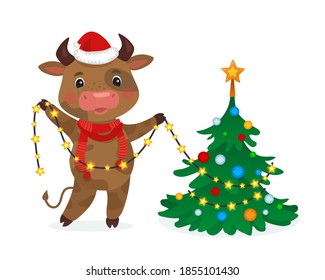 Happy New Year Illustration. Cute cow decorating the Christmas tree. Christmas card flat style. Hand drawn vector illustration with Chinese new year symbol. 2021 year. 