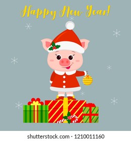 Happy New Year and Merry Christmas greeting card. Cute pig in a santa suit holding a broom for the Christmas tree. It is on the box with a gift. The symbol of the new year in the Chinese calendar