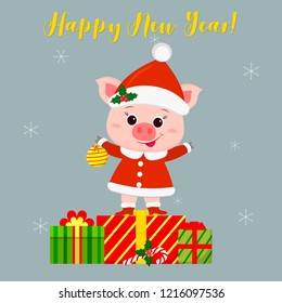 Happy New Year and Merry Christmas Greeting Card. Cute pig in a santa costume holding a ball for the Christmas tree. It is on the box with a gift. New year in the Chinese calendar. Vector 