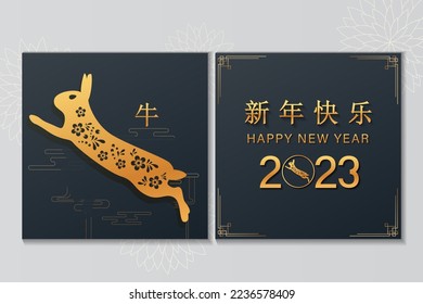 happy new year of the rabbit written in Chinese character, paper art style with elegant flowers and hanging lanterns