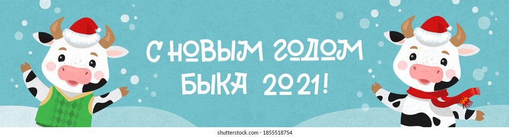 Happy New Year Russian Banner. Cute cow and ox dancing and celebrating. Christmas card in a flat style. Chinese new year symbol. 2021 year. Translation: Happy New Year!