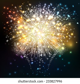 Happy New Year sky and fireworks