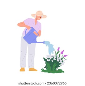 Happy old senior retired woman cartoon character watering flower from can sprayer doing garden work