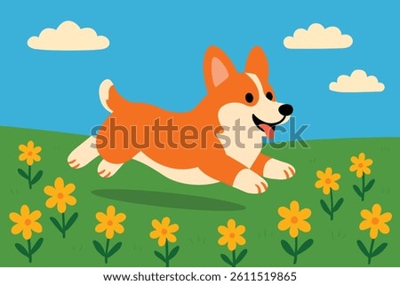 A happy orange corgi dog running through a field of yellow flowers.