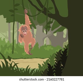 Happy Orangutan in forest vector illustration 